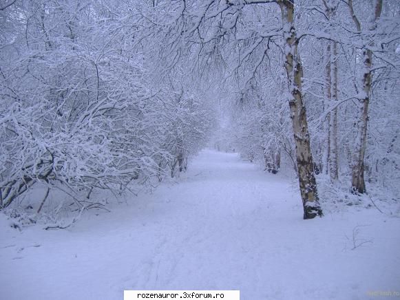 iarna este unul din cele patru anotimpuri ale zonei temperate. vremea este mai rece �n perioada