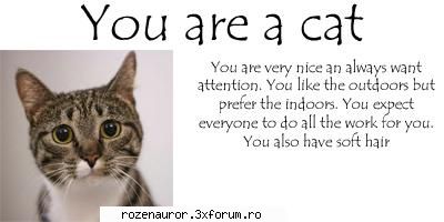 What Animal Are You - Congratulations, your result has been determined - X__X Teste si Quizuri X__X