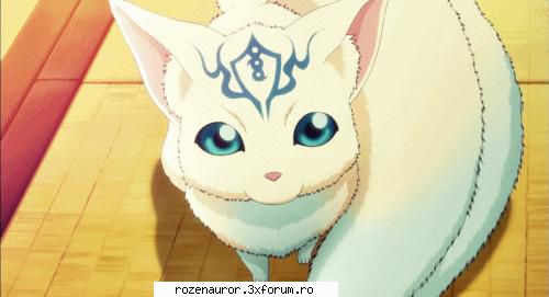 ao-chan ao:ma transform loc vulpita mica urc umarul ~Rozen Auror~ {Admin}
